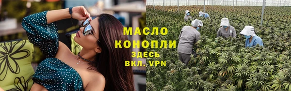 дмт Протвино