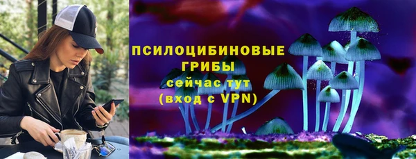 apvp Аркадак