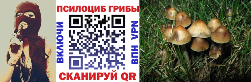 Галлюциногенные грибы Cubensis  где продают наркотики  Барабинск 